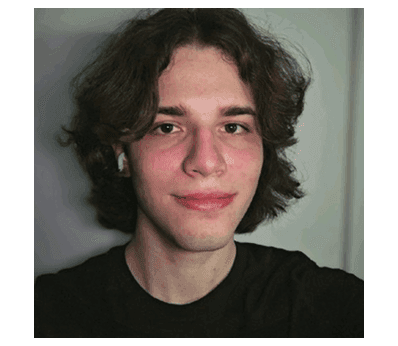 Foto de Kauai Palmeira